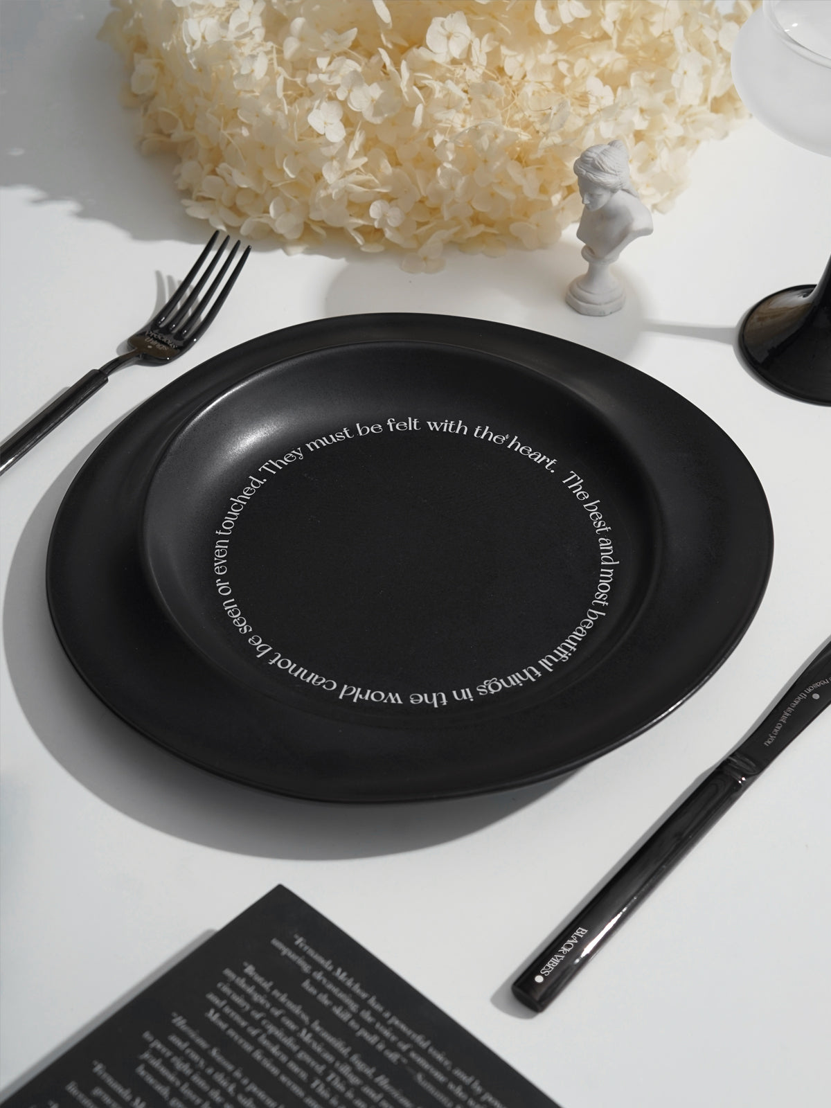 10" Dinner Plates, Premium Glossy Black Ceramic. Suitable for dessert, salad, appetizer, small lunch, breakfast, steak. Dishwasher and microwave safe. Ideal for Michelin-level presentation.