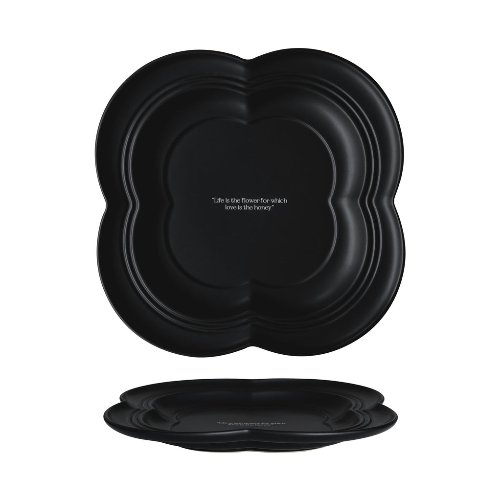 9" Dinner Plates, Premium Glossy Black Ceramic. Suitable for dessert, salad, appetizer, small lunch, breakfast, steak. Dishwasher and microwave safe. Ideal for Michelin-level presentation.